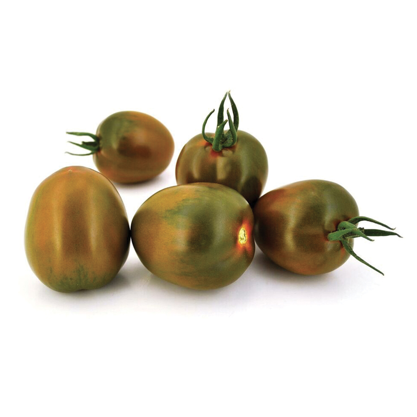 Tomato 'Cordobesa' Double Stem Grafted Organic